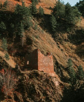 Origines du Laurier : Un voyage historique à travers les âges