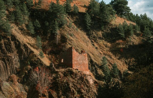 Origines du Laurier : Un voyage historique à travers les âges