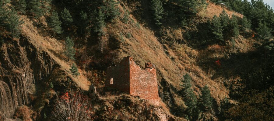 Origines du Laurier : Un voyage historique à travers les âges
