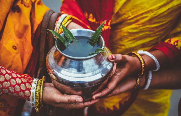 Utilisations Culinaires du Laurier : L&rsquo;Épice qui Sublime Vos Plats