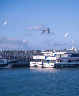 Le Laurier dans la Mythologie : Symbolisme et Rôle à Travers les Âges